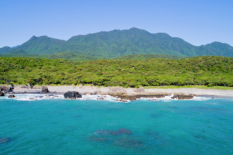 屋久島