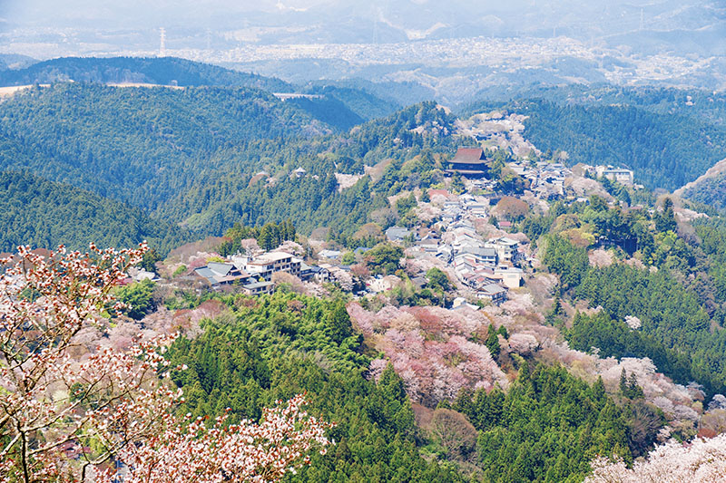 吉野山