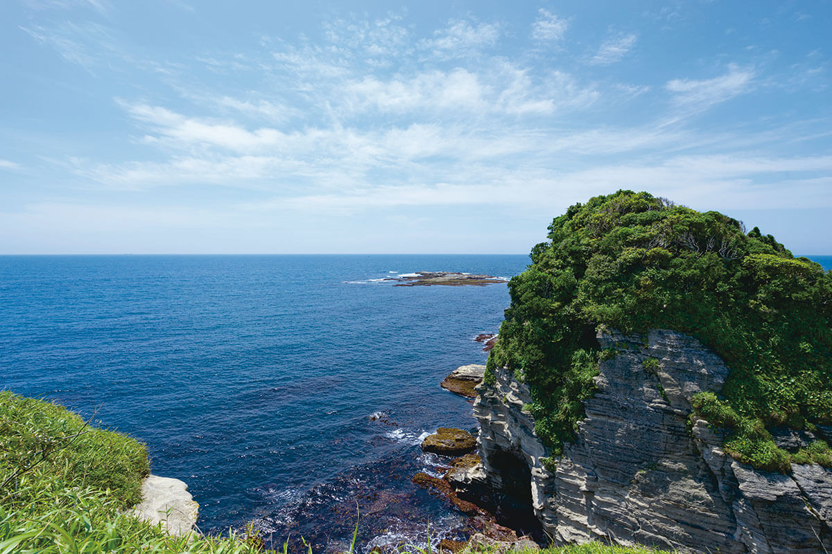 千葉県勝浦は日帰り旅行におすすめ 絶景とご当地グルメを楽しもう トリドリ