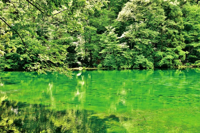 透明度抜群で綺麗すぎ!! 新潟県津南町の秘境池「龍ヶ窪の池」に行ってみたい！