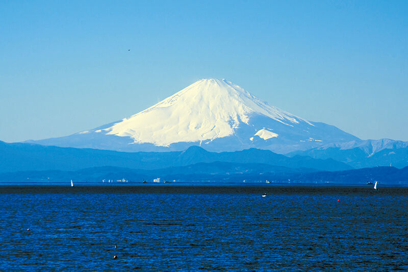 富士山 相模湾