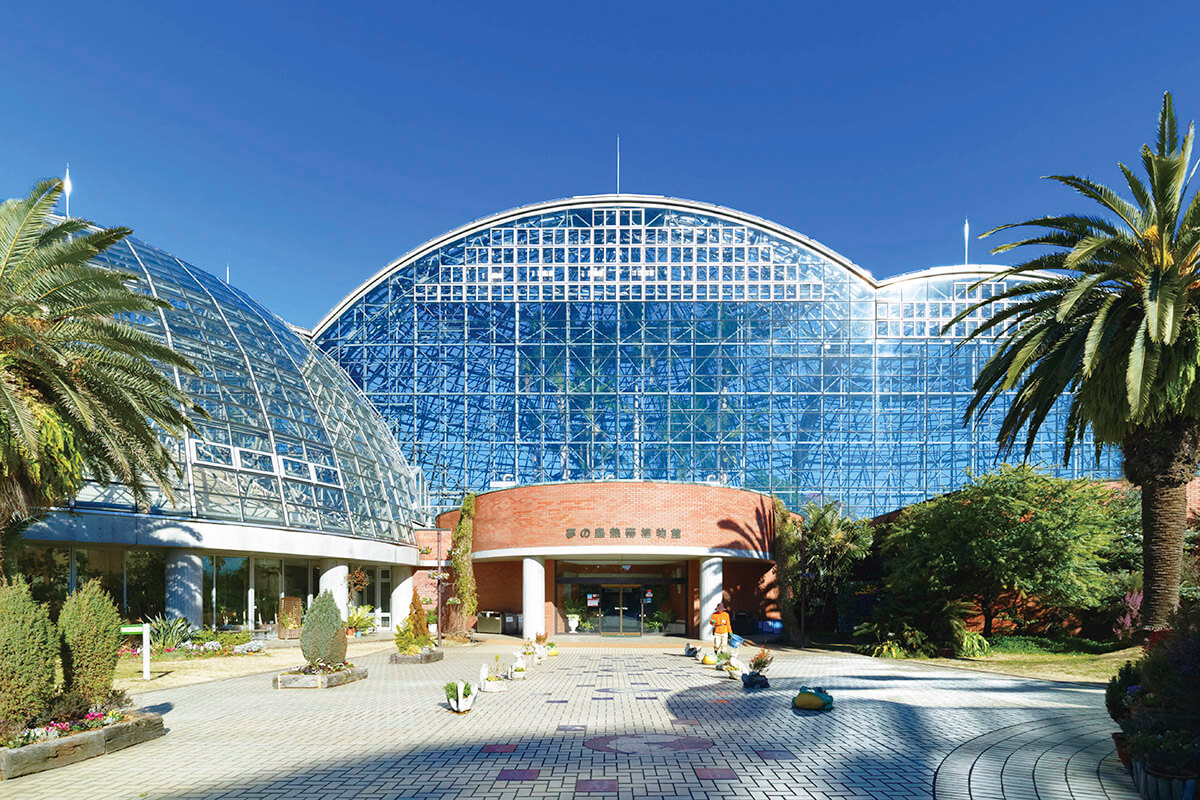 夢の島熱帯植物館