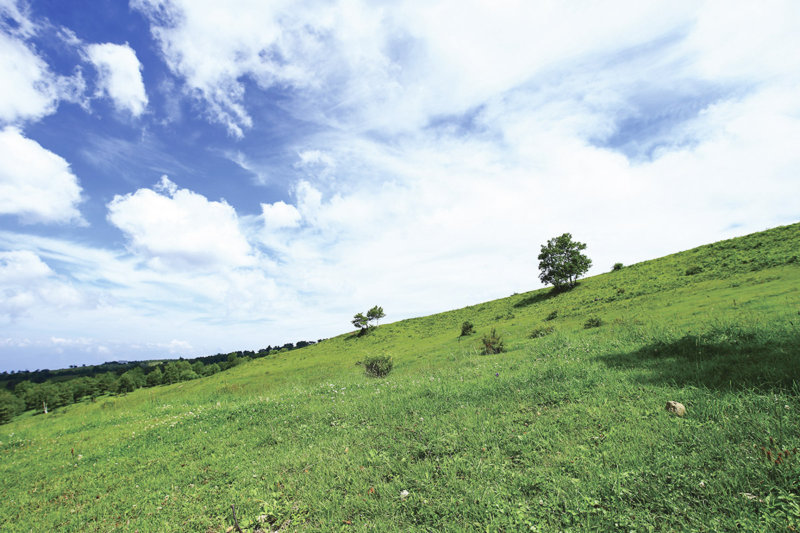 長野県の菅平高原でアクティブに過ごそう!! 冬はスキー、夏はトレッキングが楽しめる！