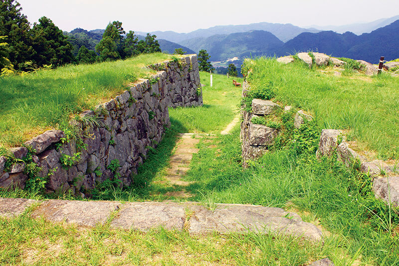 緑茂る津和野城跡