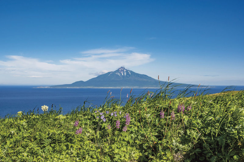 北海道の大自然に癒やされたい！ 最果ての離島「利尻島・礼文島」ってどんなところ？
