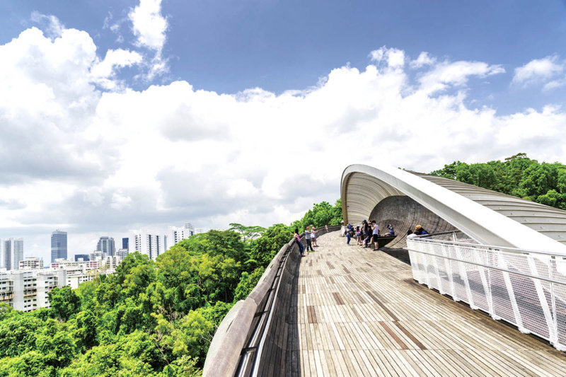 シンガポール「サザン・リッジズ」全長9kmのウォーキングルートで森林浴を楽しもう！