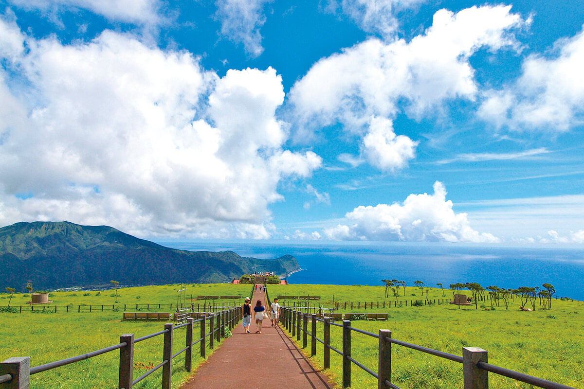 八丈島 ふれあい牧場