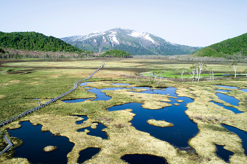 尾瀬エリアの美しい湿原