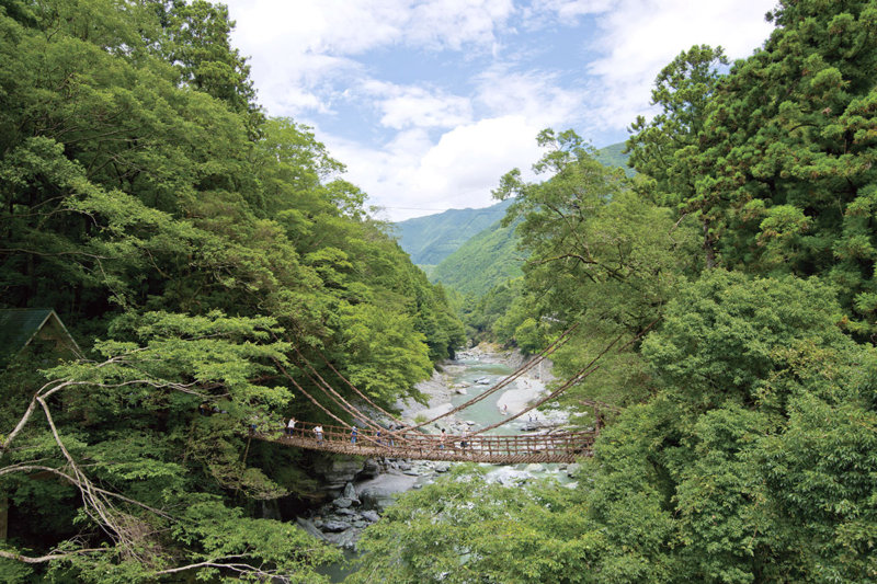 徳島県の吊り橋「祖谷のかずら橋」で季節ごとの景色やライトアップを楽しもう！