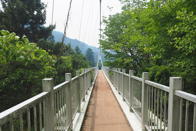 加茂ゆらりんこ橋　photo by マッキー