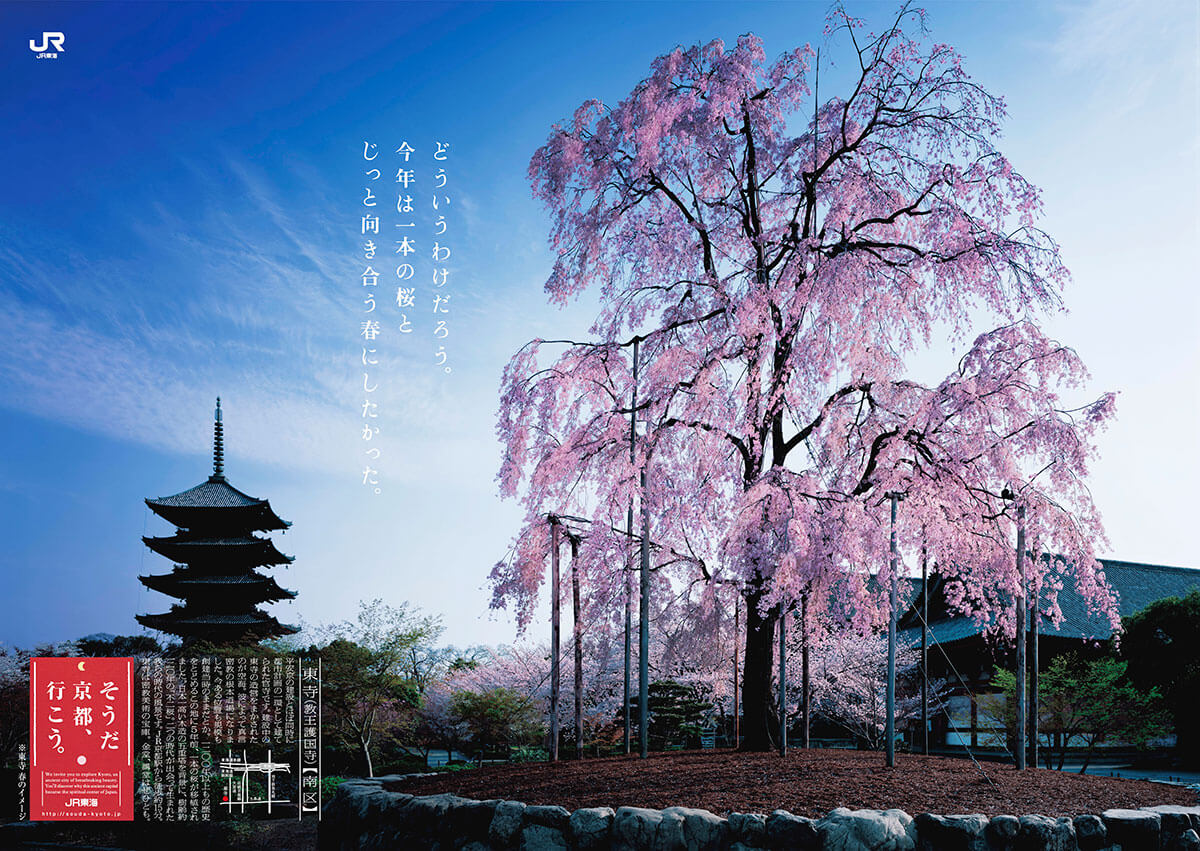 「そうだ 京都、行こう。私のお気に入り-京都の春篇-」