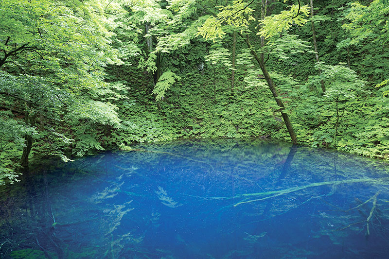 青く澄んだ水を湛える「青池」